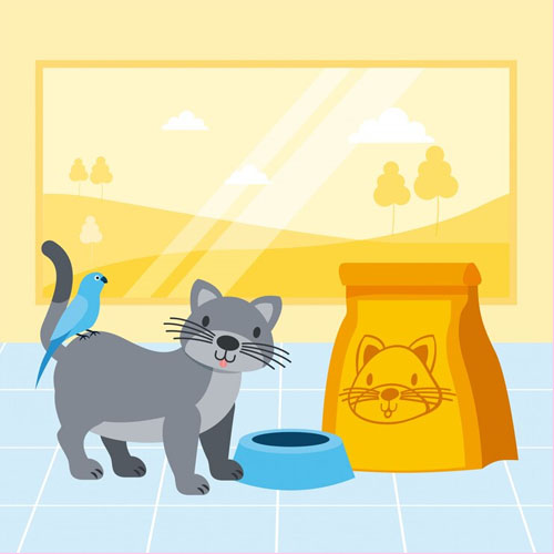 “Cat Nutrition 101: What and How Much to Feed”